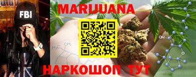 гидропоника Славгород