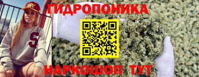 метамфетамин Сланцы