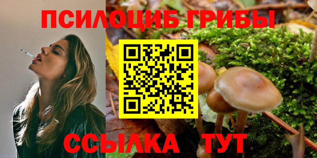 Галлюциногенные грибы Cubensis  Вход с VPN  Шали 